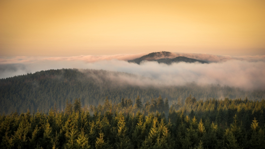 Bild-Nr: 11937719 Wurmberg im Nebel Erstellt von: Steffen Henze