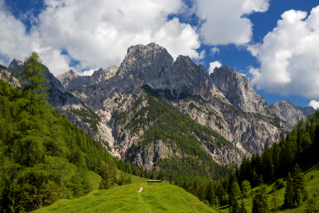 Bild-Nr: 11938616 Reiteralpe im Berchtesgadner Land Erstellt von: Thomas Herzog