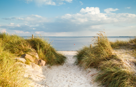 Bild-Nr: 11939256 Urlaub am Meer  Erstellt von: Ursula Reins