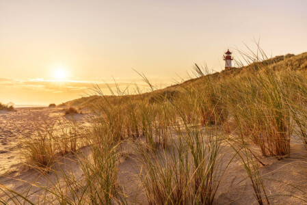 Bild-Nr: 11939548 Spätsommer auf Sylt Erstellt von: Achim Thomae