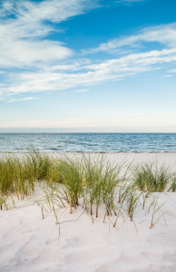 Bild-Nr: 11940698 Ostsee Sommerurlaub Erstellt von: Ursula Reins