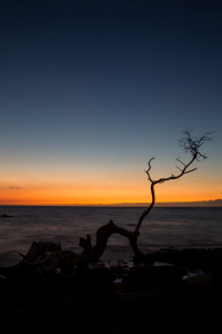 Bild-Nr: 11940901 Sonnenuntergang auf Hawaii Erstellt von: DirkR