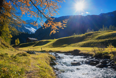 Bild-Nr: 11941349 Sertigbach im Herbst Erstellt von: SusaZoom