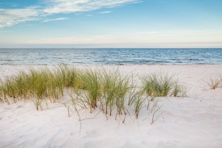 Bild-Nr: 11941365 Ostsee Sommerurlaub Erstellt von: Ursula Reins