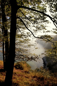 Bild-Nr: 11941724 Herbst an der Küste Erstellt von: Ostseestrand