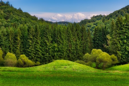 Bild-Nr: 11943265 Schönheiten der Vulkaneifel Erstellt von: Rene Conzen