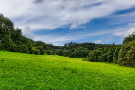 Bild-Nr: 11943267 Schönheiten der Vulkaneifel Erstellt von: Rene Conzen