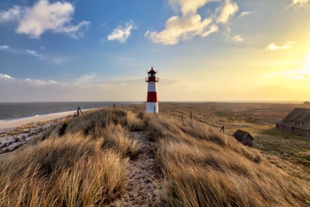 Bild-Nr: 11943473 Bezaubernde Nordseestrände List auf Sylt Erstellt von: Rene Conzen