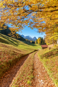 Bild-Nr: 11943979 Herbst in Bayern Erstellt von: Achim Thomae