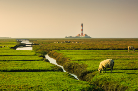 Bild-Nr: 11944395 Frühstück am Leuchtturm Westerhever Erstellt von: Ursula Reins