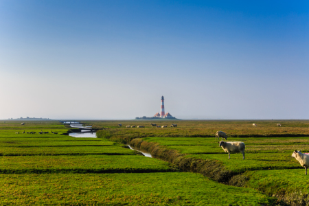 Bild-Nr: 11944585 Leuchtturm Westerhever Erstellt von: Ursula Reins