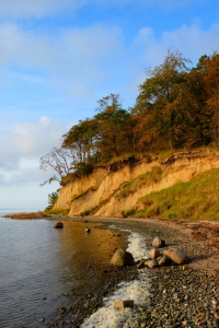 Bild-Nr: 11944959 Schöne Boddenküste Erstellt von: Ostseestrand