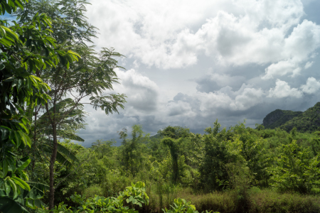 Bild-Nr: 11945301 aufziehender Monsun in Thailand Erstellt von: KundenNr-264508