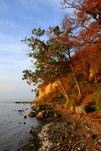 Bild-Nr: 11945881 Zauberhafte Boddenküste Erstellt von: Ostseestrand