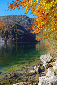 Bild-Nr: 11946252 Herbst am Königssee Erstellt von: falconer59