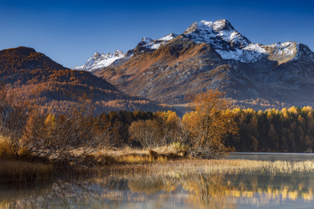 Bild-Nr: 11947232 Silser See im Herbst Erstellt von: Daniela Beyer