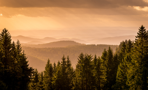 Bild-Nr: 11947657 Fernsicht im Harz Erstellt von: Steffen Henze