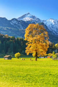Bild-Nr: 11949022 Goldener Herbst an Alpspitze in Bayern Erstellt von: Achim Thomae