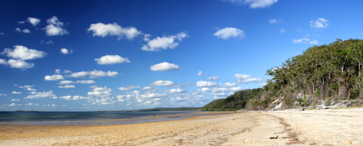 Bild-Nr: 11950932 Strand auf Fraser Island Erstellt von: DirkR