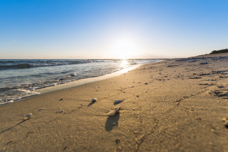 Bild-Nr: 11951825 Ostsee Strand und Meer im Morgenlicht Erstellt von: ReichderNatur