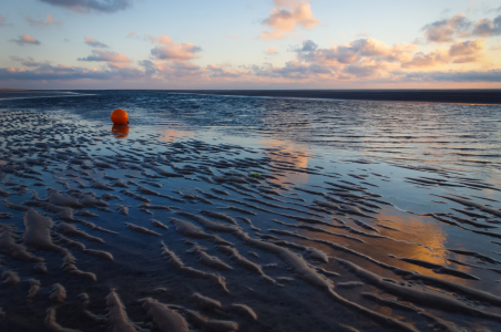 Bild-Nr: 11952011 Endlose Weite - Insel Amrum Erstellt von: Angela  Dölling