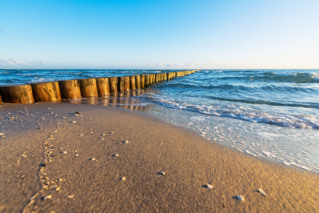 Bild-Nr: 11952428 Buhne am Strand der Ostsee Erstellt von: ReichderNatur