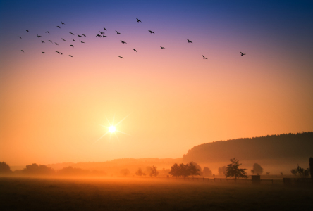 Bild-Nr: 11953090 Landliebe Erstellt von: Dora-Pi-Art-Photographie