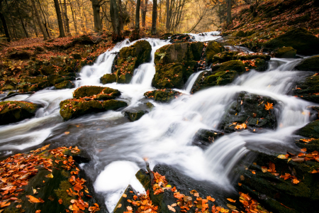 Bild-Nr: 11953177 Selkefall im Harz Erstellt von: AlenaTerbachFotografie