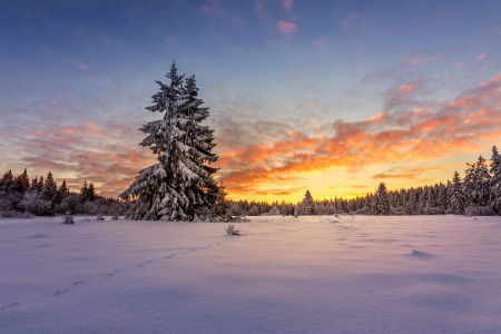 Bild-Nr: 11953558 Hoher Meißner im Winterkleid Erstellt von: artmobe