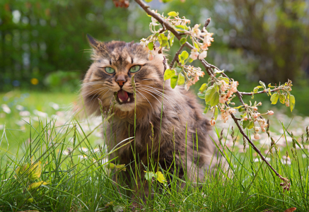 Bild-Nr: 11955482 Timber im Garten Erstellt von: SusaZoom