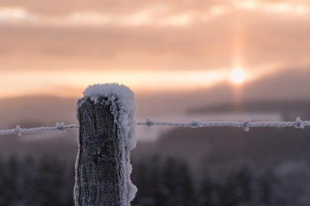 Bild-Nr: 11956353 Wintermorgen Erstellt von: Dora-Pi-Art-Photographie