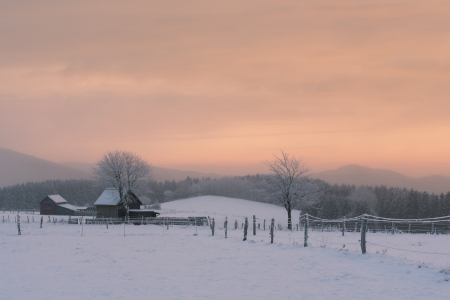 Bild-Nr: 11956354 Wintermorgen II Erstellt von: Dora-Pi-Art-Photographie