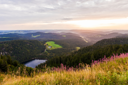 Bild-Nr: 11956446 Sonnenaufgang am Feldberg im Schwarzwald Erstellt von: dieterich