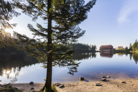 Bild-Nr: 11956477 Mummelsee im Schwarzwald Erstellt von: dieterich