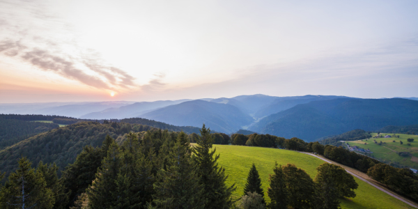 Bild-Nr: 11957503 Sonnenaufgang am Schauinsland im Schwarzwald Erstellt von: dieterich