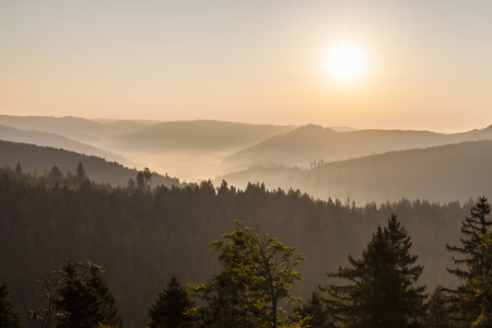 Bild-Nr: 11957505 Schliffkopf im Schwarzwald Erstellt von: dieterich