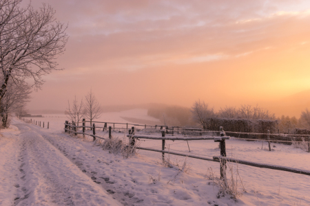 Bild-Nr: 11957918 Winterweg Erstellt von: Dora-Pi-Art-Photographie