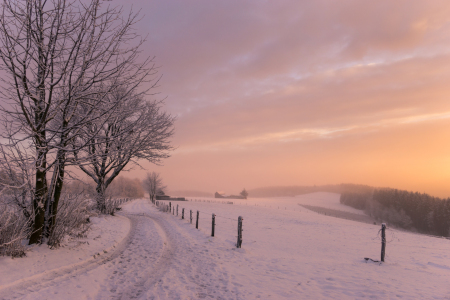 Bild-Nr: 11957919 Wintermärchen Erstellt von: Dora-Pi-Art-Photographie