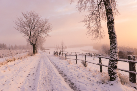 Bild-Nr: 11957920 Wintermorgen Erstellt von: Dora-Pi-Art-Photographie