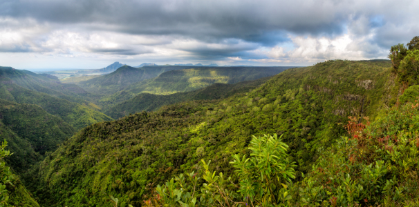 Bild-Nr: 11960012 Black River Gorges Nationalpark Erstellt von: DirkR