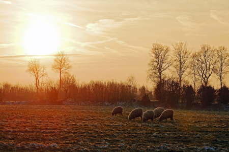 Bild-Nr: 11960128 Winterabendstimmung Erstellt von: Ostfriese