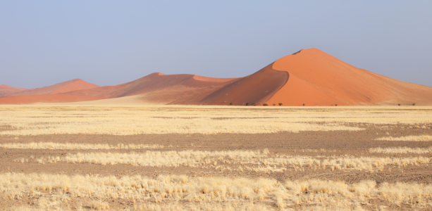 Bild-Nr: 11961688 Dünen in der Namib Erstellt von: DirkR