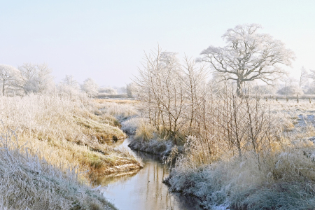 Bild-Nr: 11962632 Winterlandschaft Erstellt von: Ostfriese