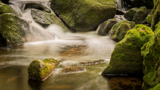 Bild-Nr: 11966094 Zusammenfluss im Wald Erstellt von: luxpediation