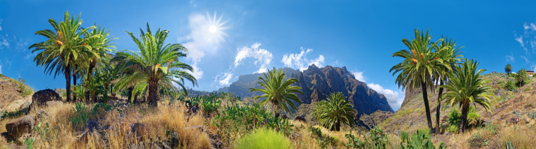 Bild-Nr: 11967909 Masca Schlucht 360 Panorama Teneriffa Kanaren Erstellt von: Rucker