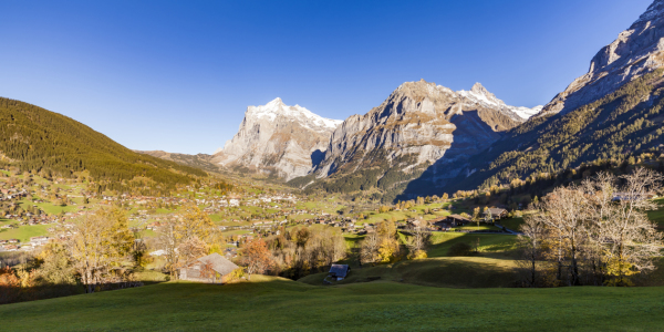 Bild-Nr: 11968122 Grindelwald in der Schweiz Erstellt von: dieterich