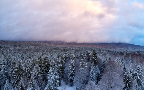 Bild-Nr: 11969905 Bayrischer Wald im Winter Erstellt von: DirkR