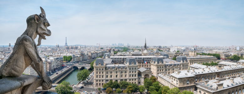 Bild-Nr: 11970221 Skyline von Paris mit Notre Dame Gargoyle Erstellt von: eyetronic