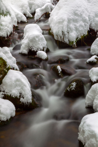 Bild-Nr: 11970523 Bach im Winter Erstellt von: DirkR