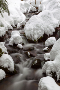 Bild-Nr: 11971461 Bach im Winter Erstellt von: DirkR